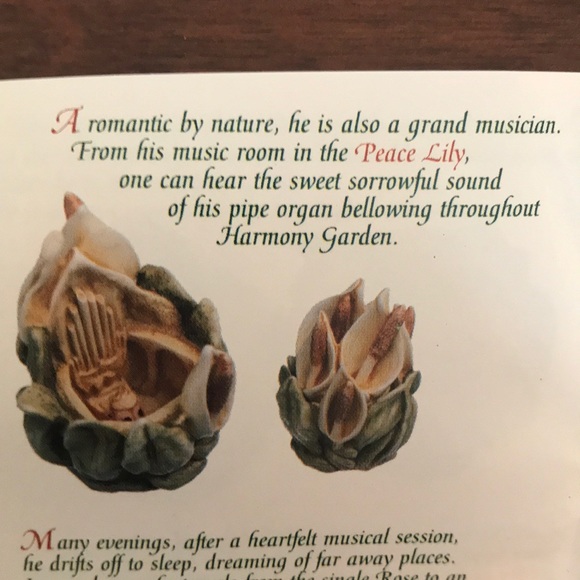 🎀 Lord Byron’s Peace Lily - Picture 4 of 6